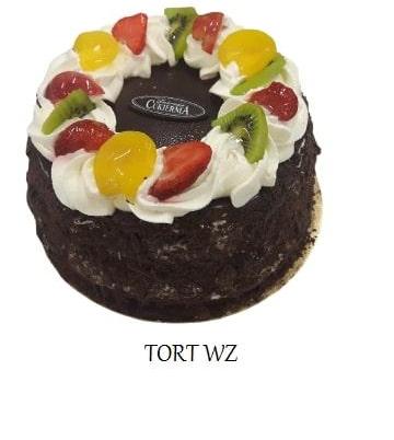 tort-wz-1